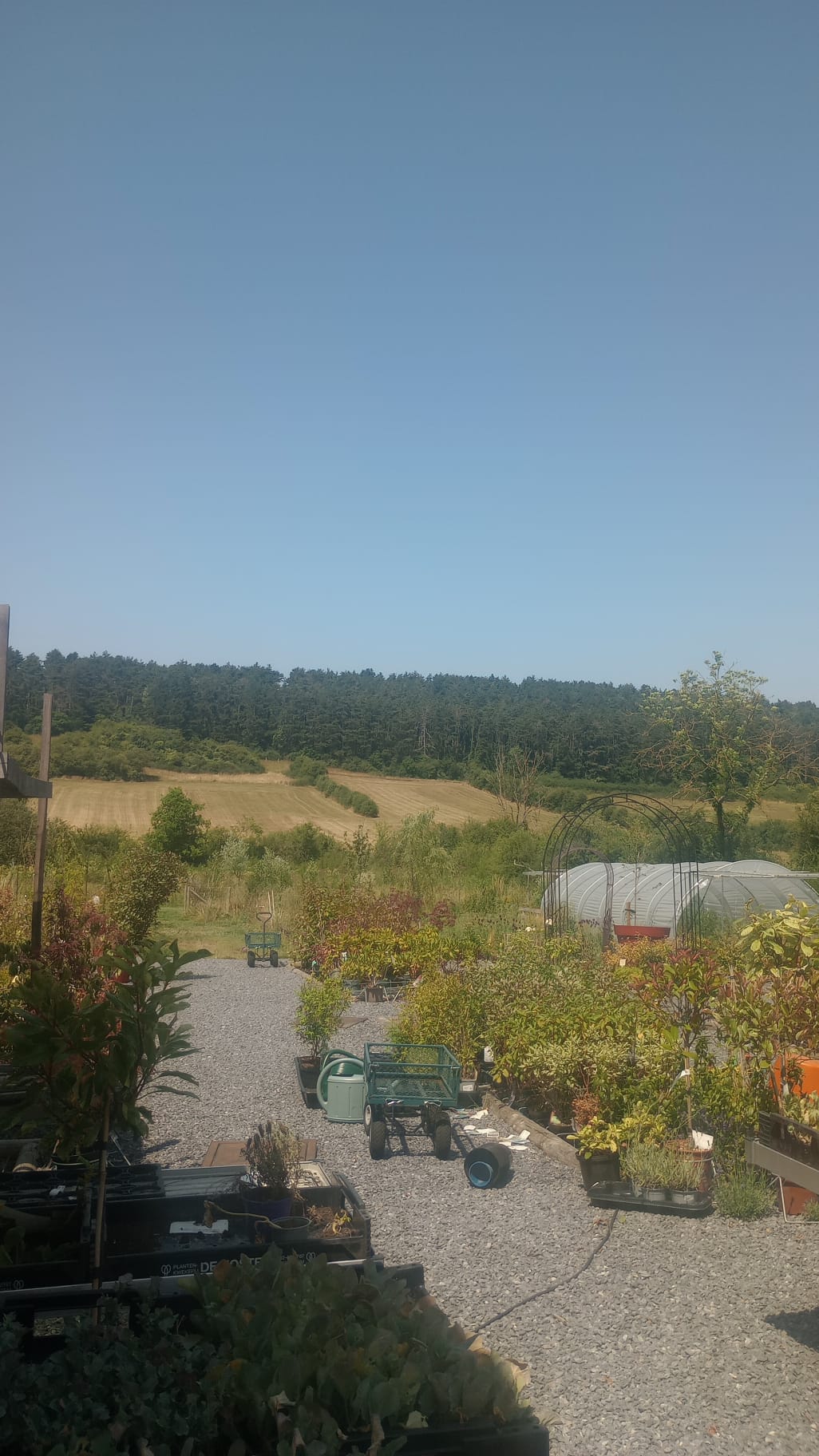 Aménagement et plantation