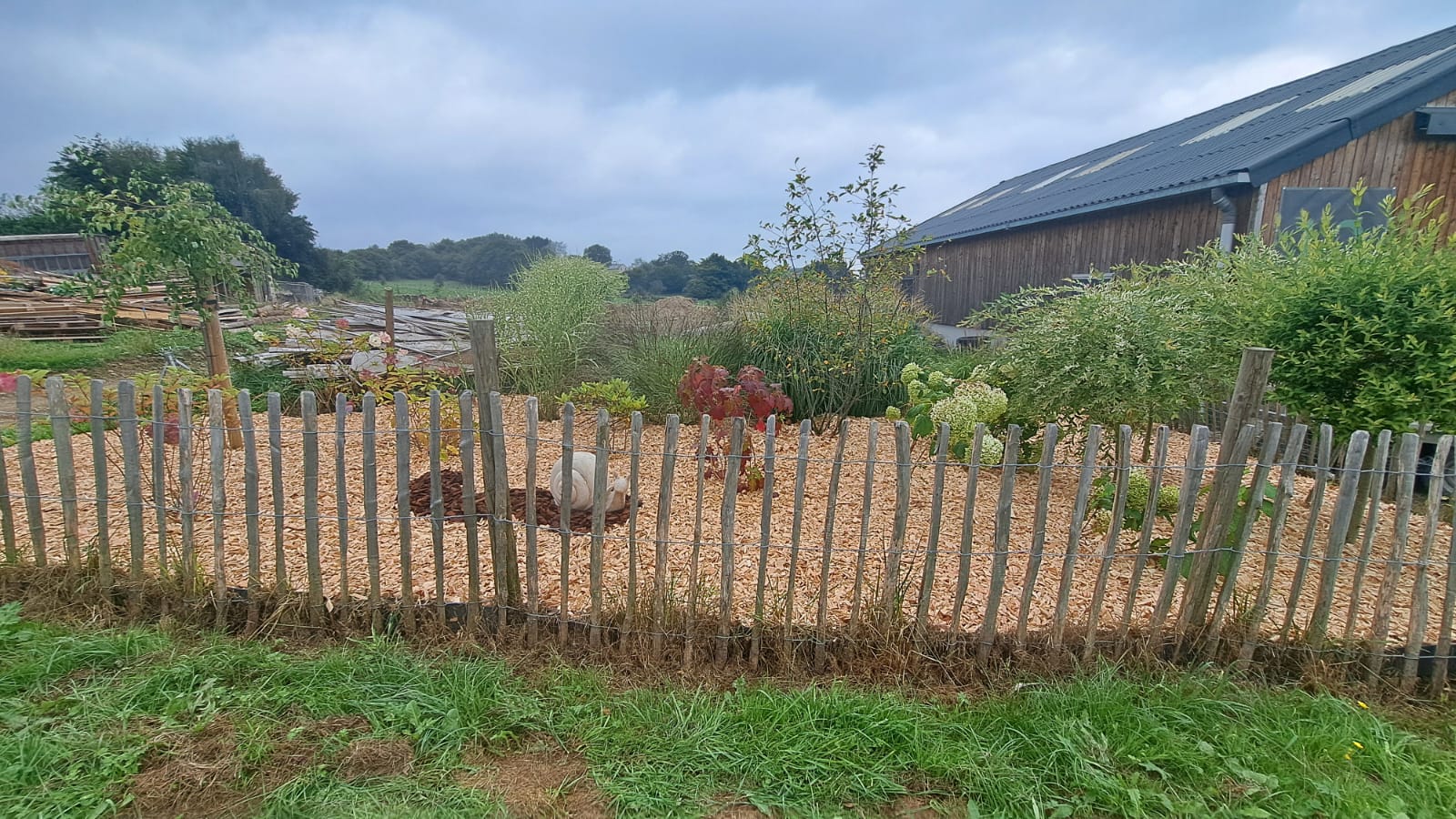 Aménagement et plantation